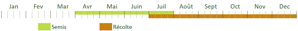 Calendrier de culture